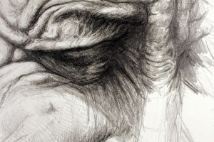 Step 3 (Detail)