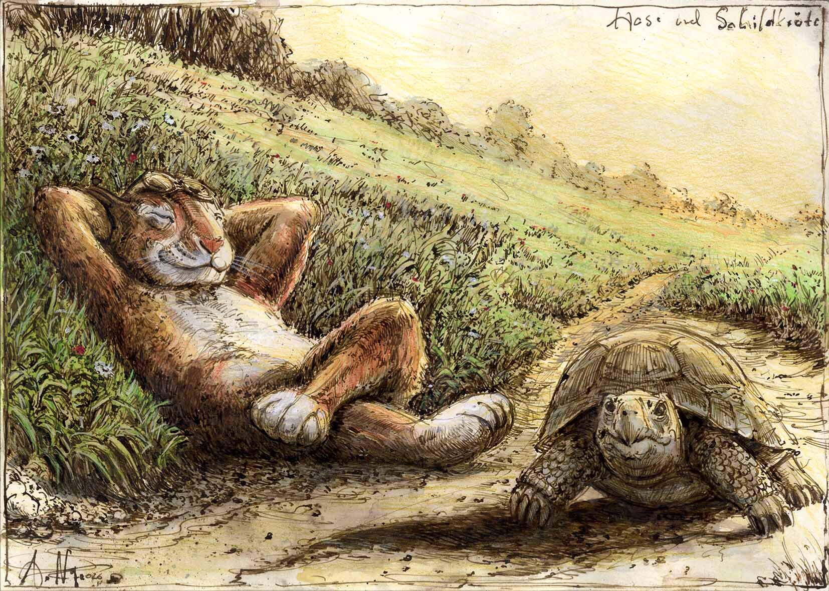 Hase und Schildkröte