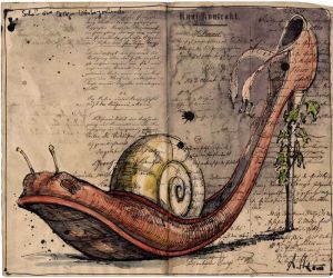Schuh einer lästigen Weinbergschnecke
