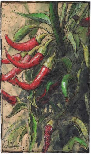 Chilli
