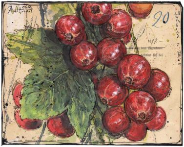 Johannis in Rot