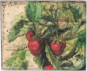 Strawberry fields forever
