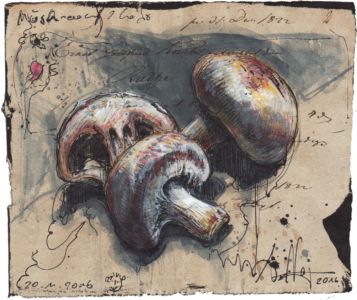 Killed Mushrooms