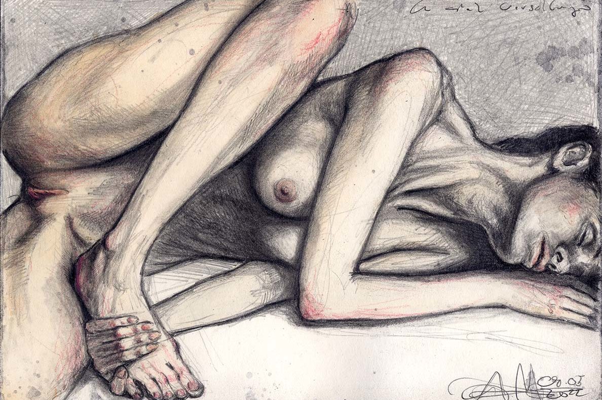 cropped-d1588.jpg