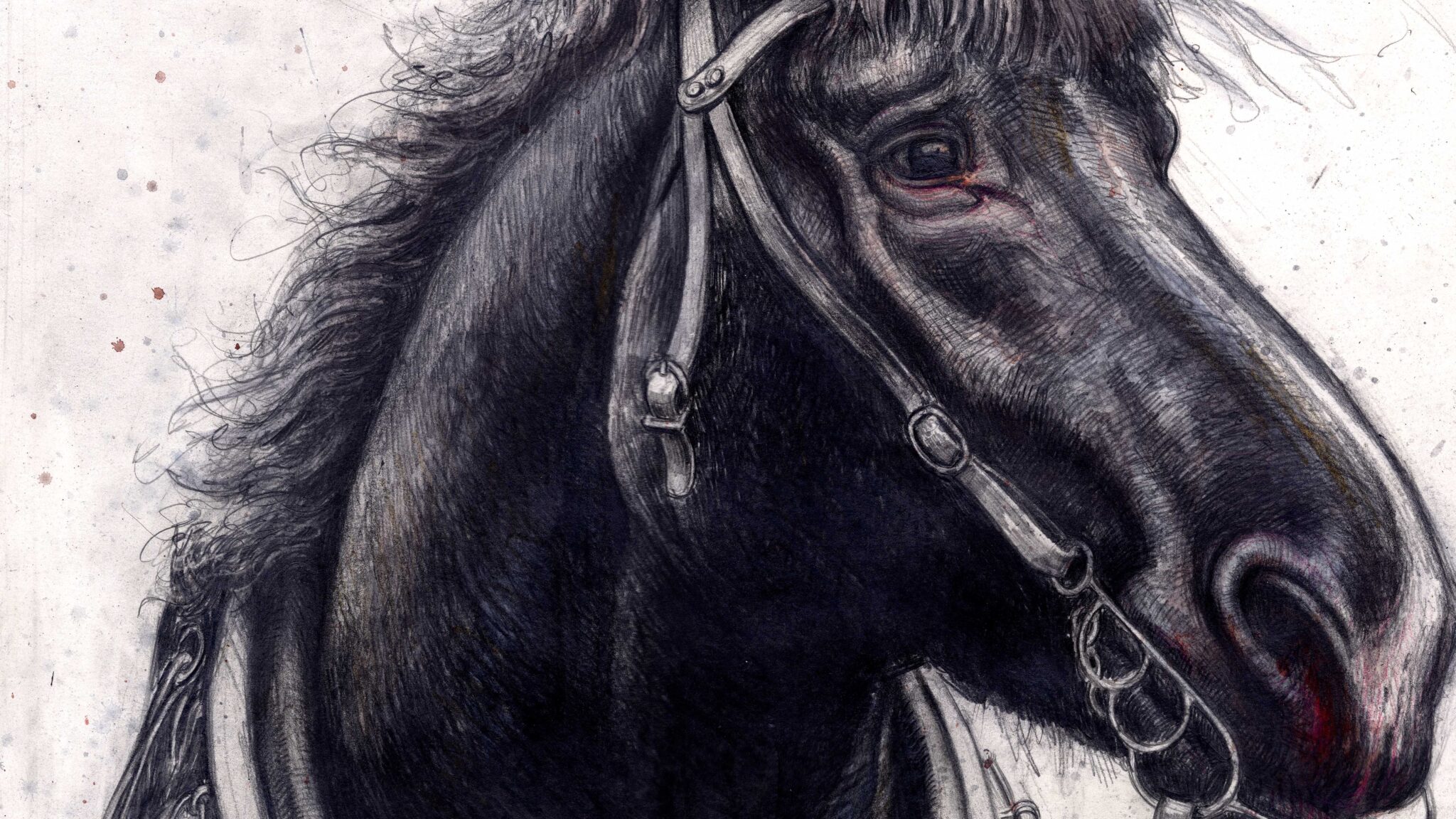 Boxer – Farm der Tiere