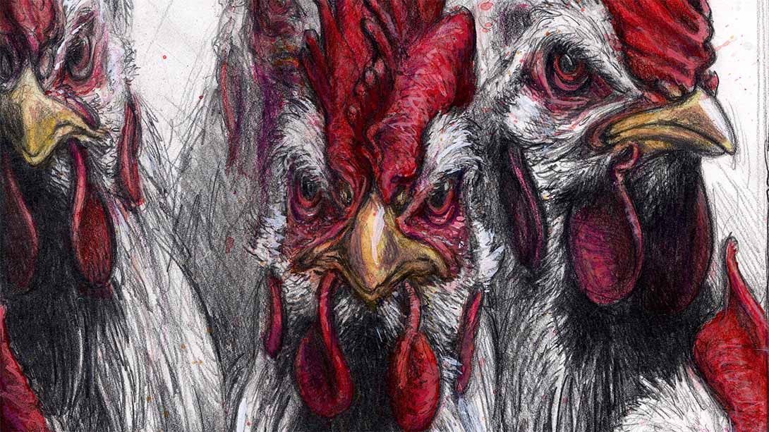 Aufstand der Hühner