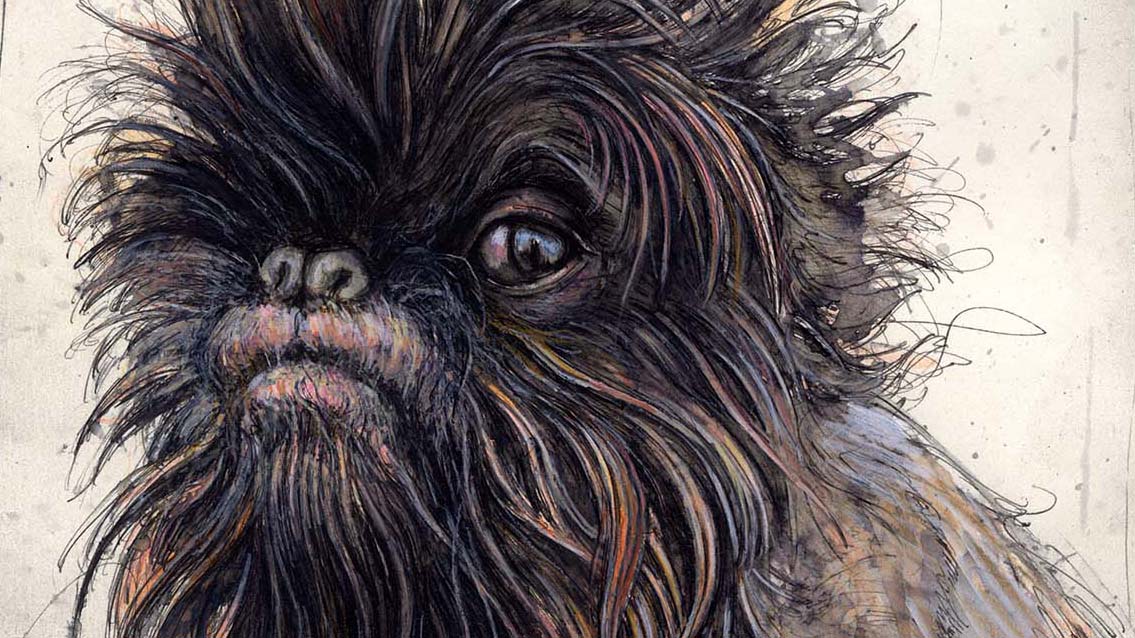 Chewie