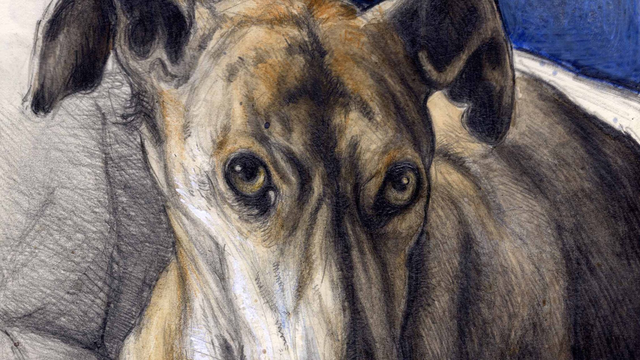 Der Hund, der schon immer alles wusste