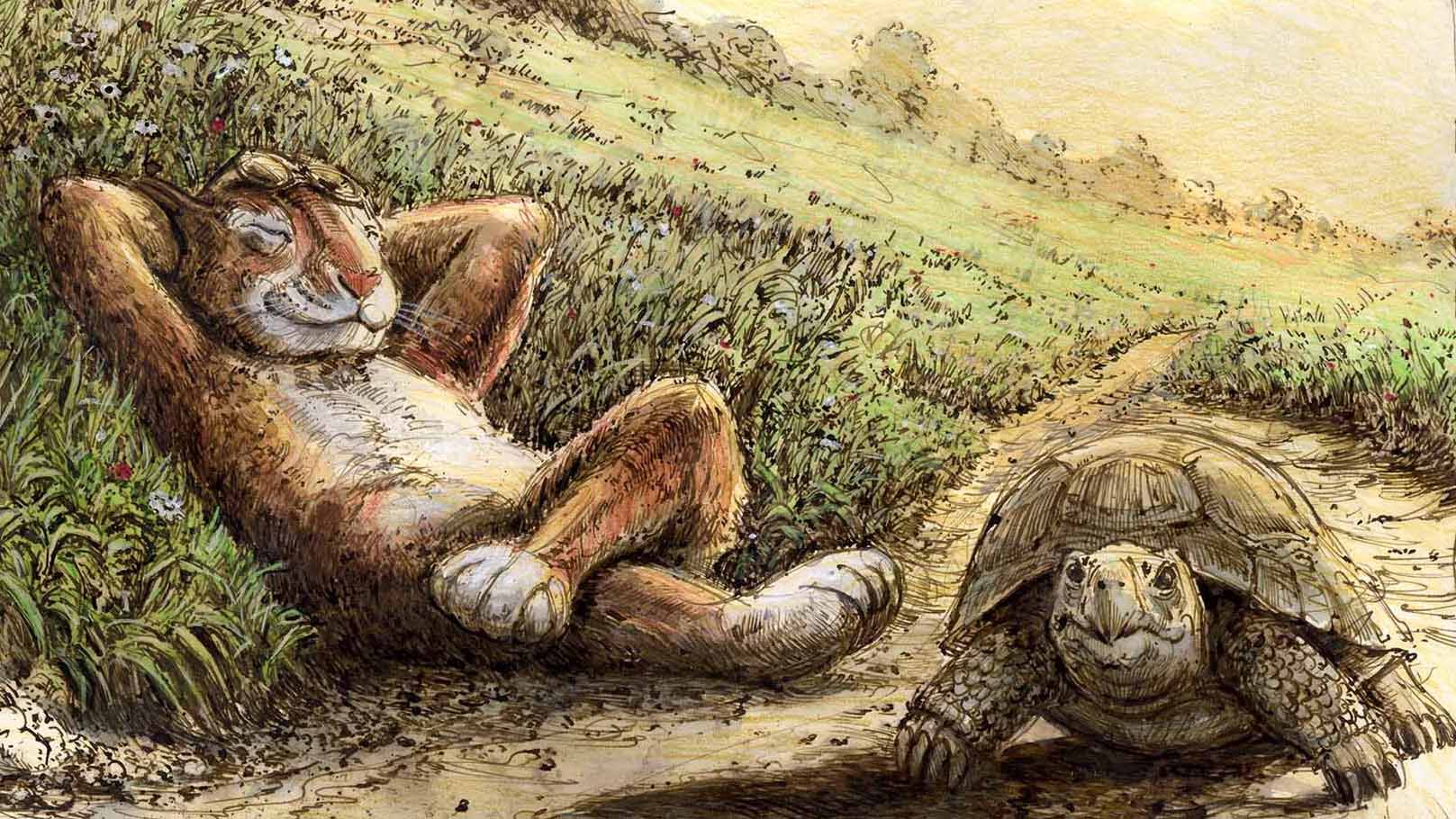 Hase und Schildkröte